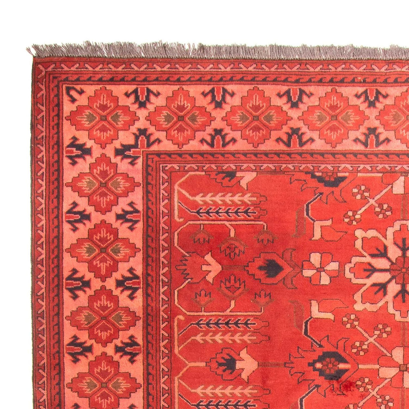 Hatchlu Teppe 296x210cm - Orientalsk teppe