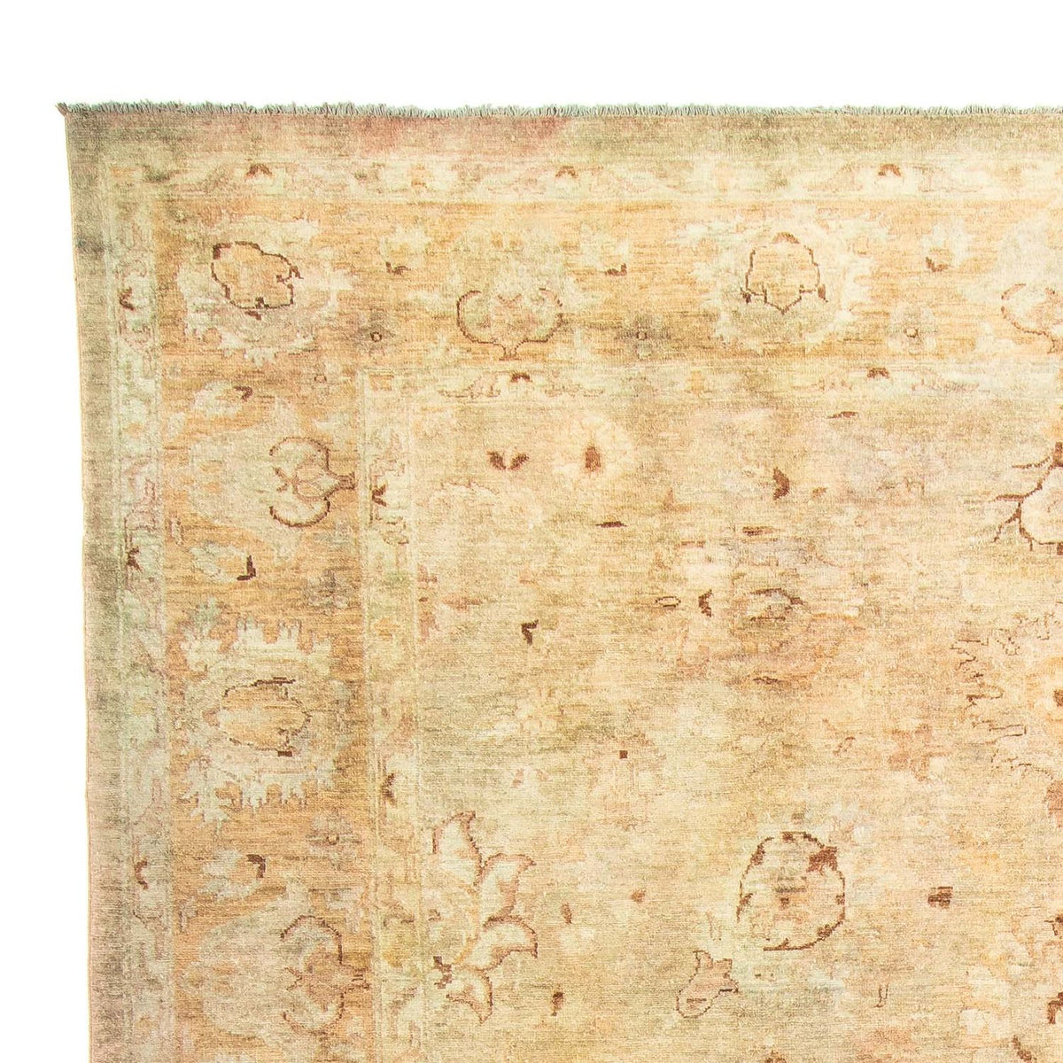Ziegler Teppe 240x287cm - Orientalsk teppe