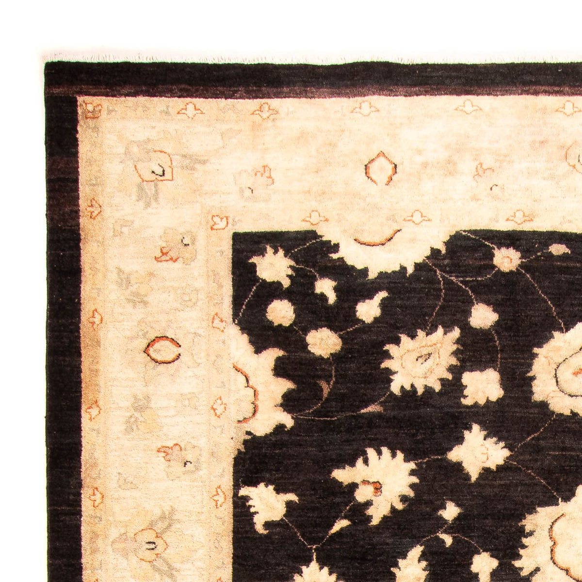 Ziegler Teppe 205x277cm - Orientalsk teppe