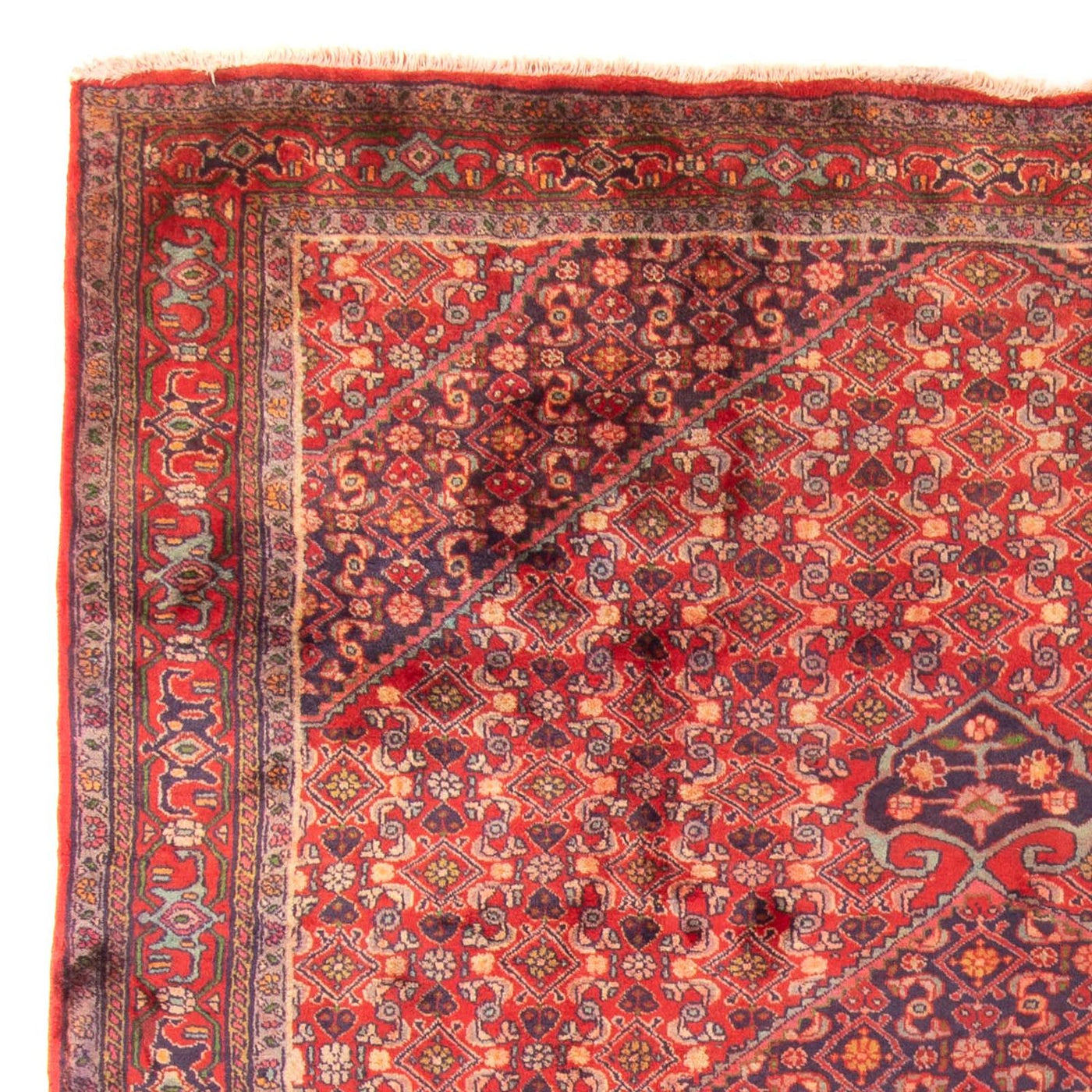Ardabil Teppe 290x203cm - Persisk teppe