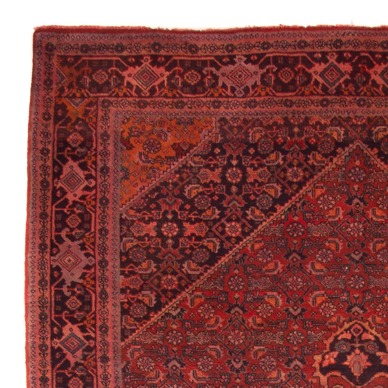 Bidjar - Takab Teppe 220x327cm - Persisk teppe