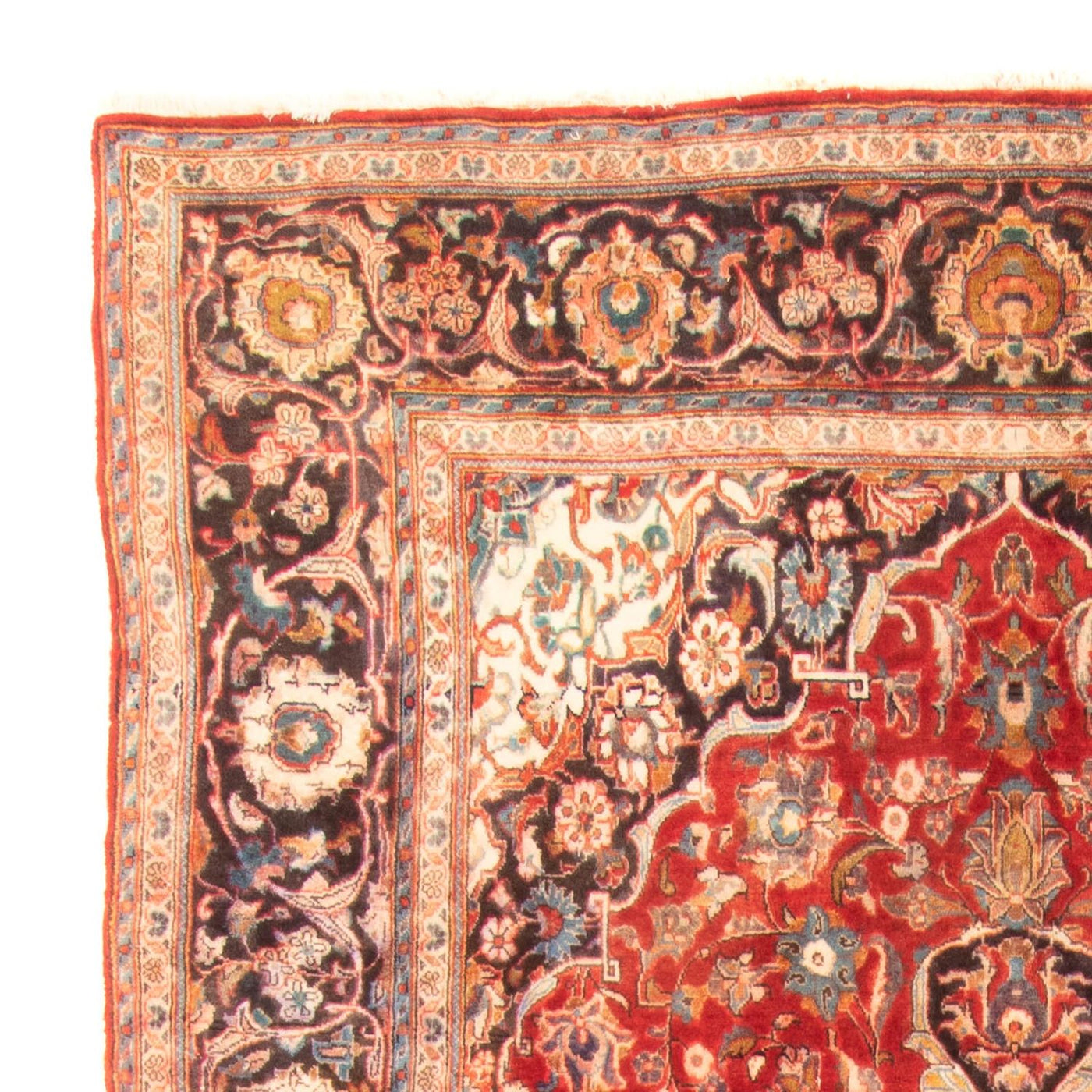 Kashan Teppe 322x183cm - Persisk teppe