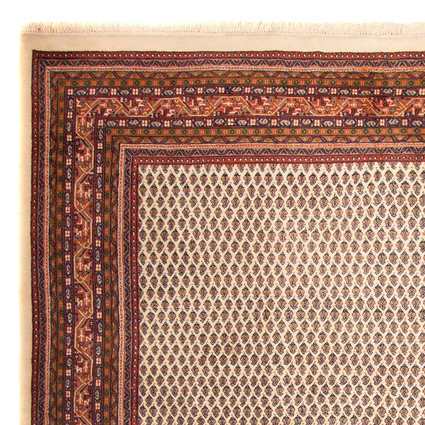 Indo Mir Teppe 344x244cm - Orientalsk teppe
