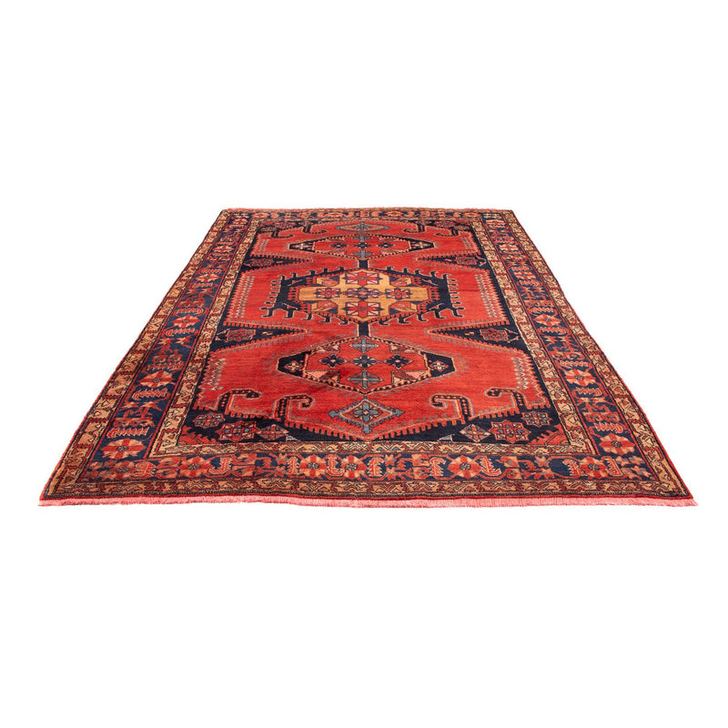 Wiss Teppe 315x211cm - Persisk teppe