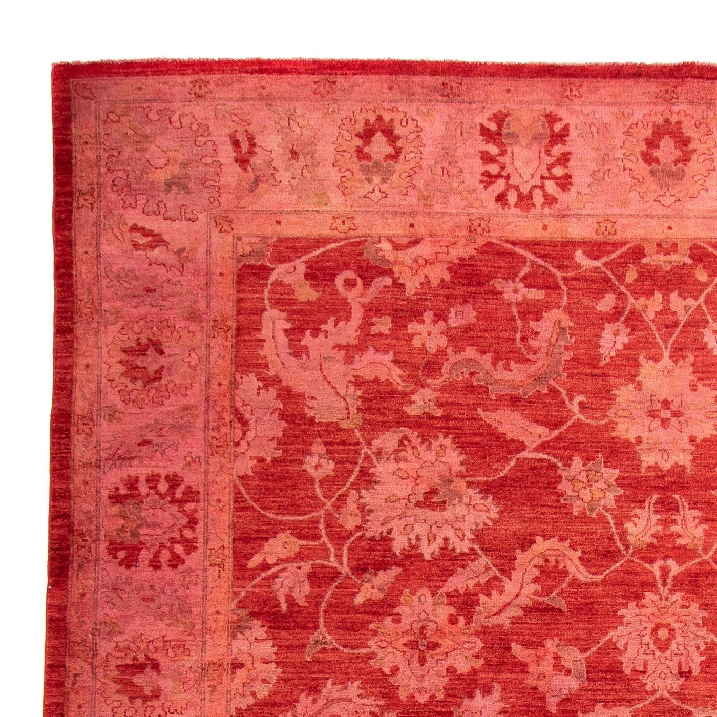 Ziegler Teppe 350x222cm - Orientalsk teppe