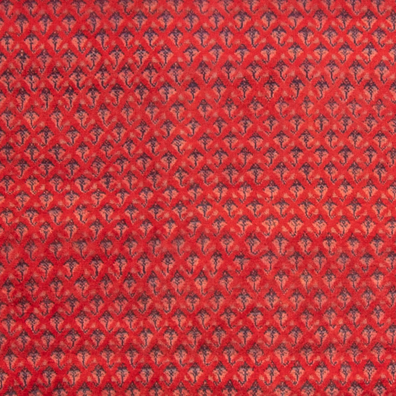 Mir Teppe 330x237cm - Persisk teppe
