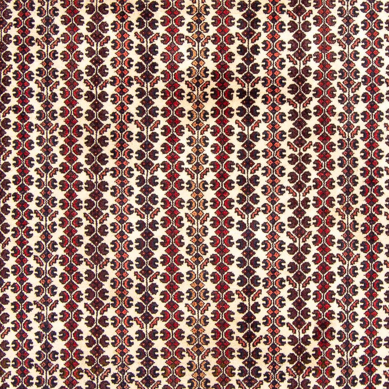 Kolyai Teppe 310x210cm - Persisk teppe