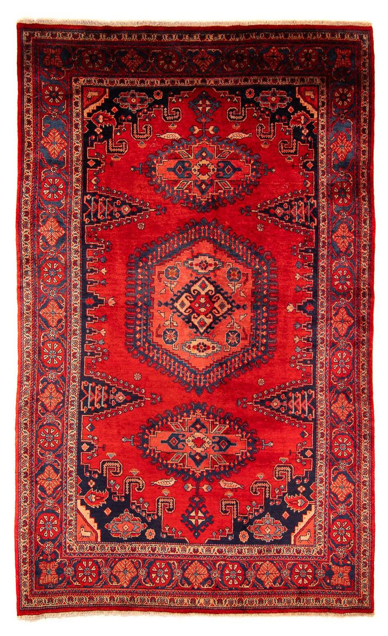 Wiss Teppe 210x333cm - Persisk teppe