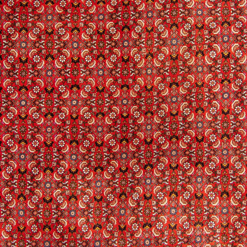 Persisk teppe - Bijar - 300 x 204 cm - rød