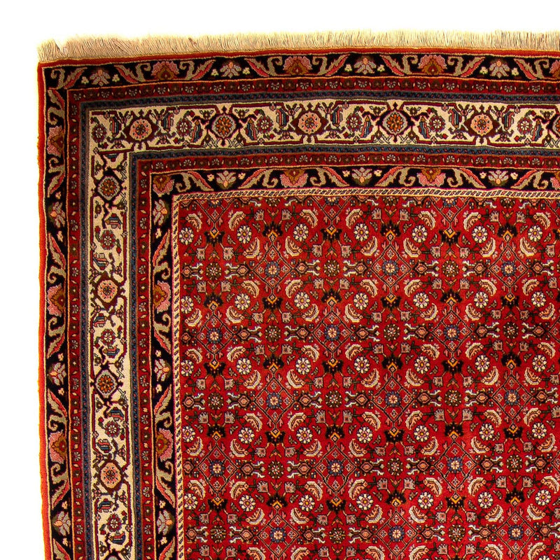Persisk teppe - Bijar - 300 x 204 cm - rød