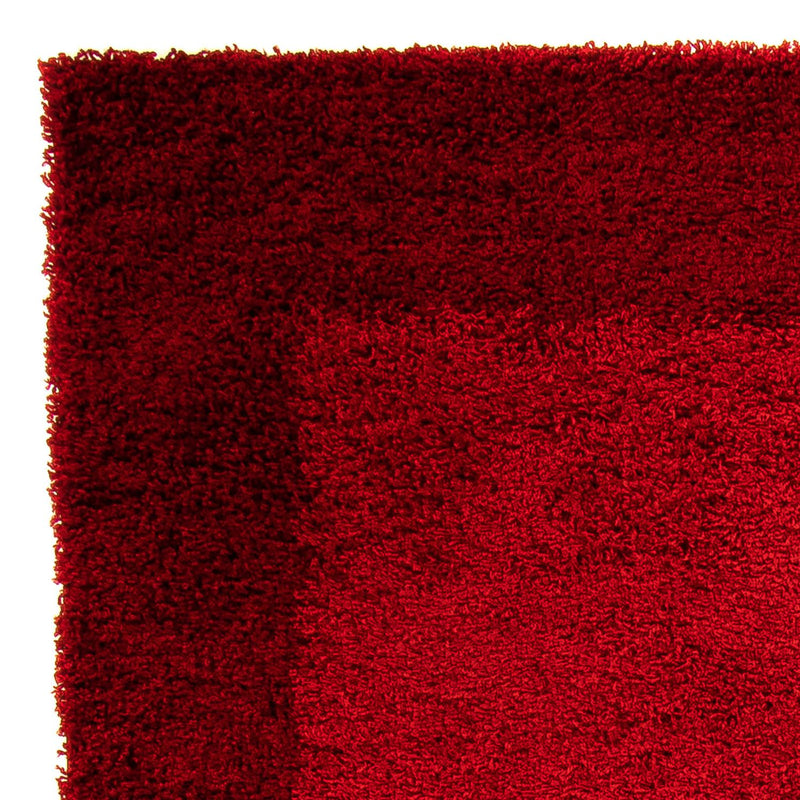 Shaggy Teppe 230x160cm - Shaggy Teppich