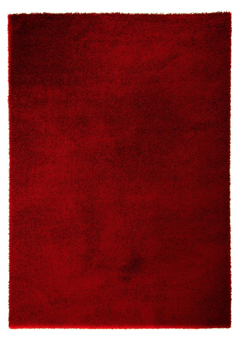 Shaggy Teppe 290x200cm - Shaggy Teppich