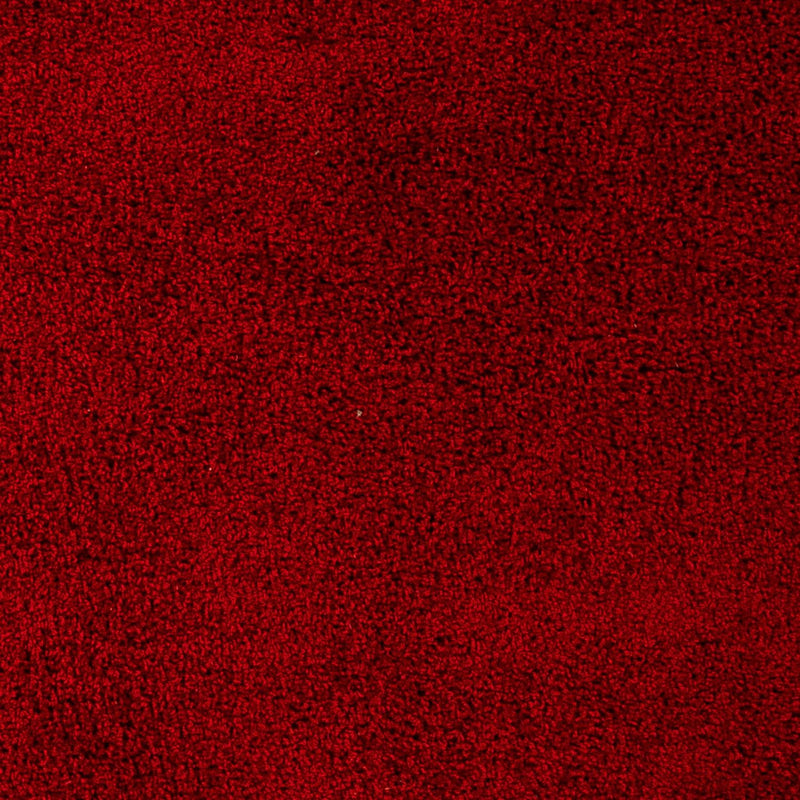 Shaggy Teppe 290x200cm - Shaggy Teppich