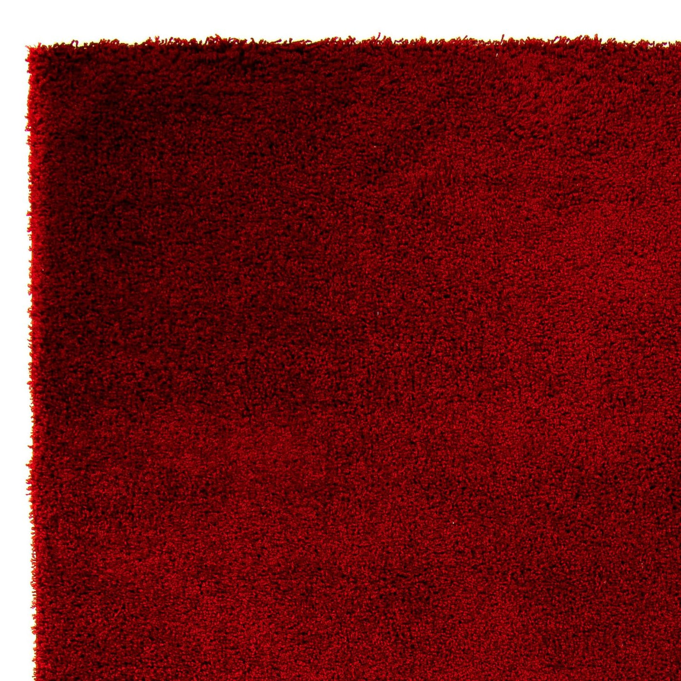 Shaggy Teppe 290x200cm - Shaggy Teppich
