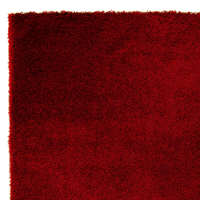 Shaggy Teppe 290x200cm - Shaggy Teppich