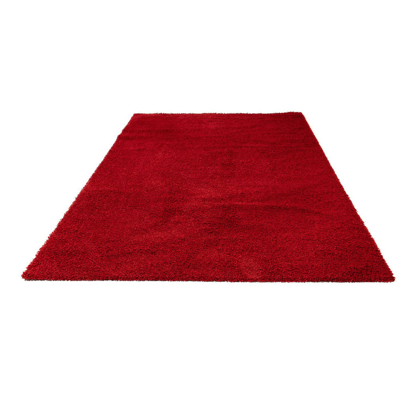 Shaggy Teppe 290x200cm - Shaggy Teppich