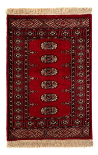 Pakistan teppe 78x115cm - Orientalsk teppe – product image