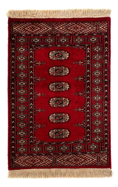 Pakistan teppe 78x115cm - Orientalsk teppe