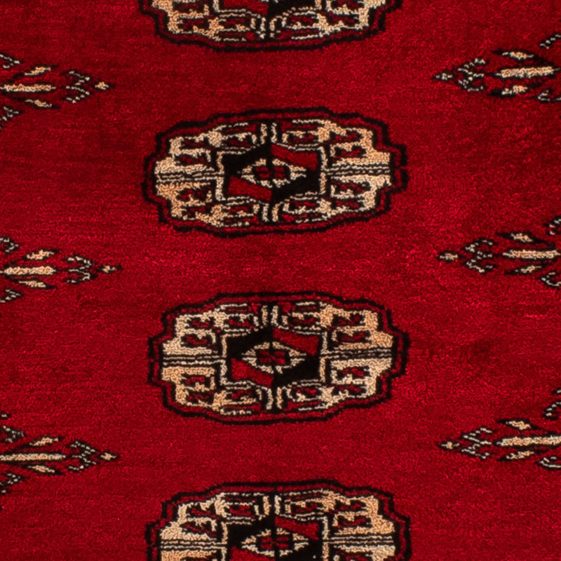 Pakistan teppe 78x115cm - Orientalsk teppe