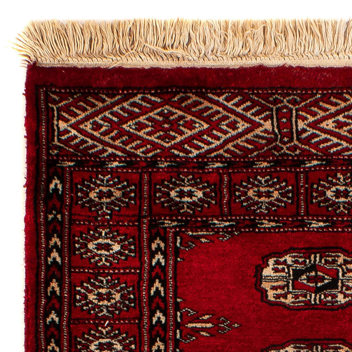 Pakistan teppe 78x115cm - Orientalsk teppe