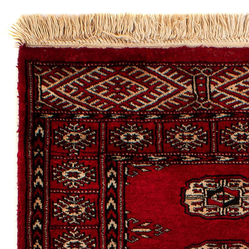 Pakistan teppe 78x115cm - Orientalsk teppe