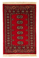Pakistan teppe 80x123cm - Orientalsk teppe