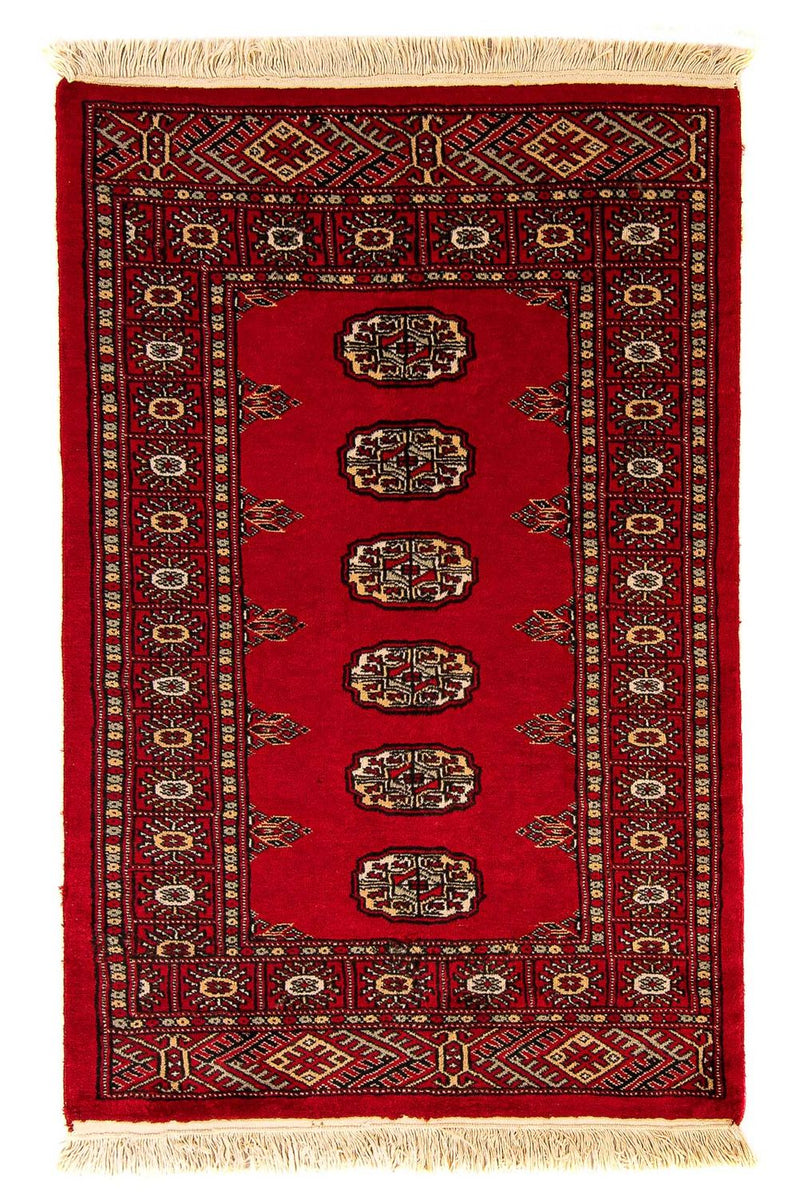 Pakistan teppe 80x123cm - Orientalsk teppe