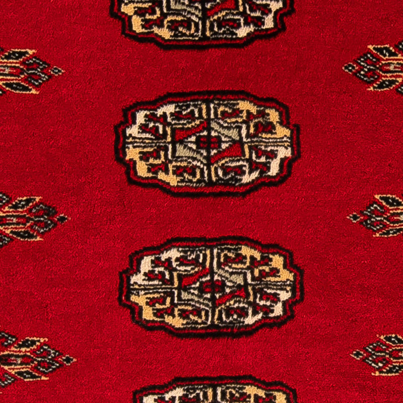Pakistan teppe 80x123cm - Orientalsk teppe