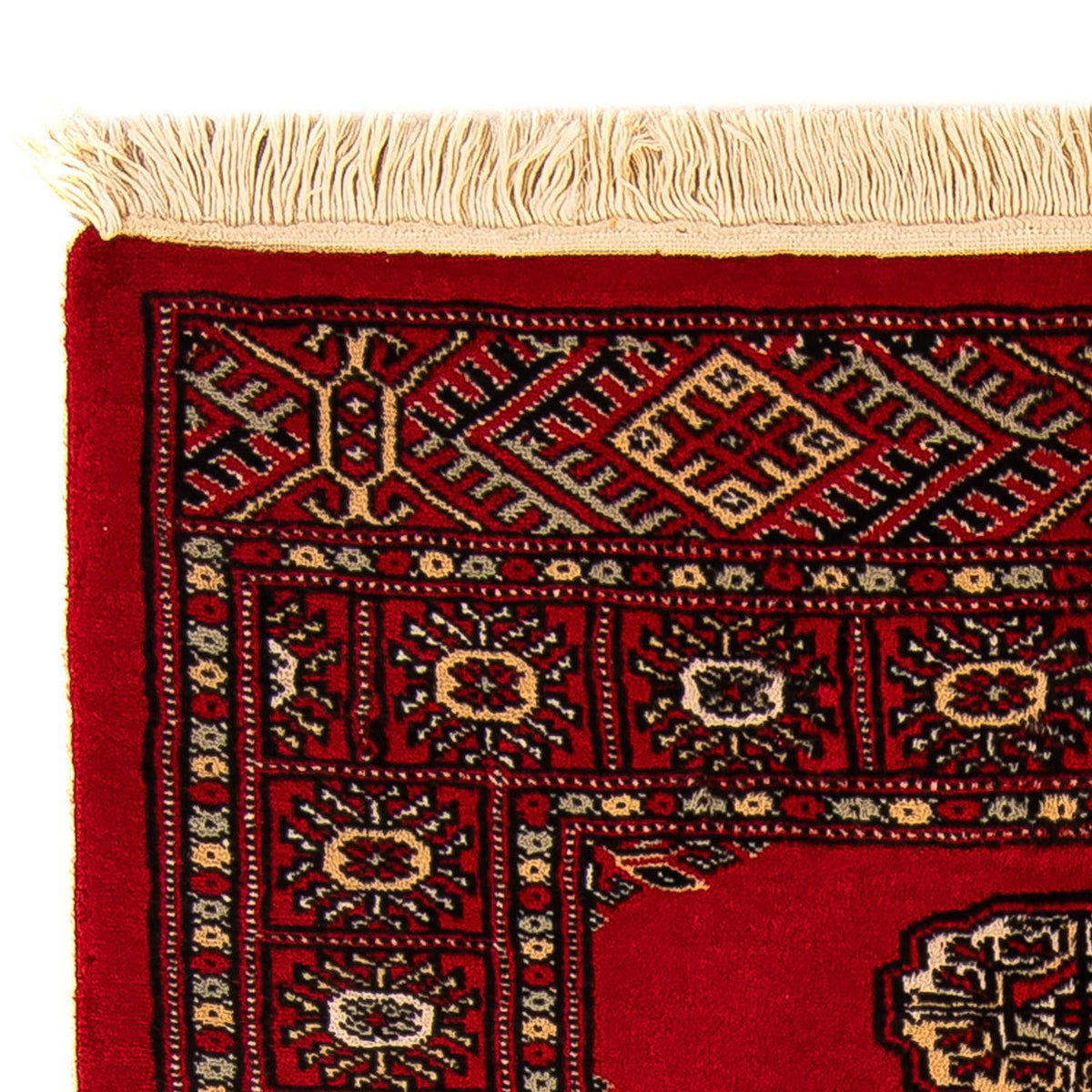 Pakistan teppe 80x123cm - Orientalsk teppe