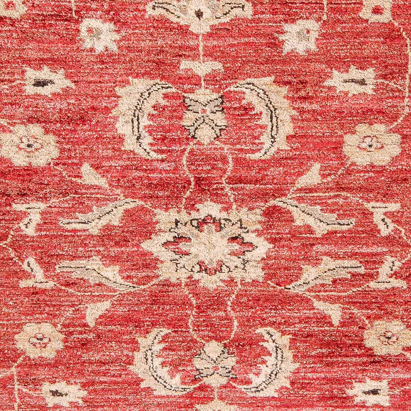 Ziegler Teppe 327x239cm - Orientalsk teppe
