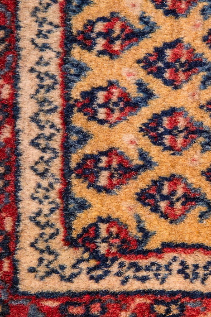 Persisk teppe - Nomadisk - 288 x 238 cm - beige