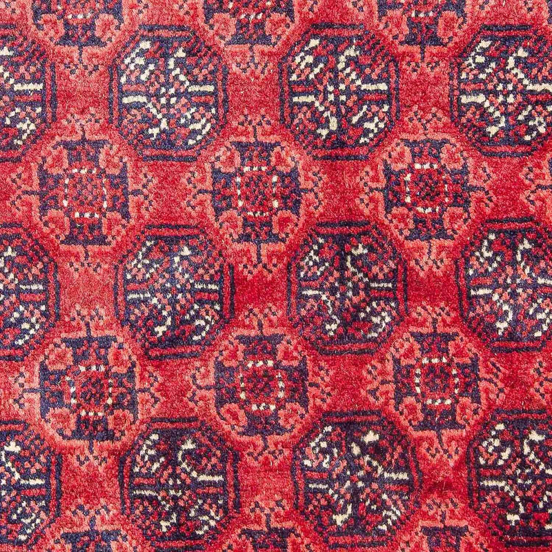 Bukhara Teppe 299x195cm - Orientalsk teppe