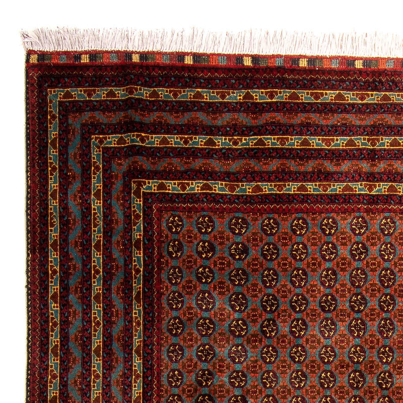 Bukhara Teppe 304x200cm - Orientalsk teppe