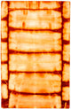 Vintage Carpet 118x183cm