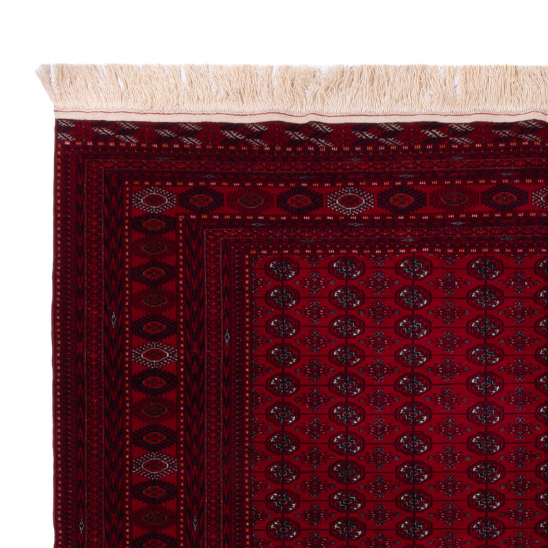Bukhara Teppe 390x296cm - Orientalsk teppe