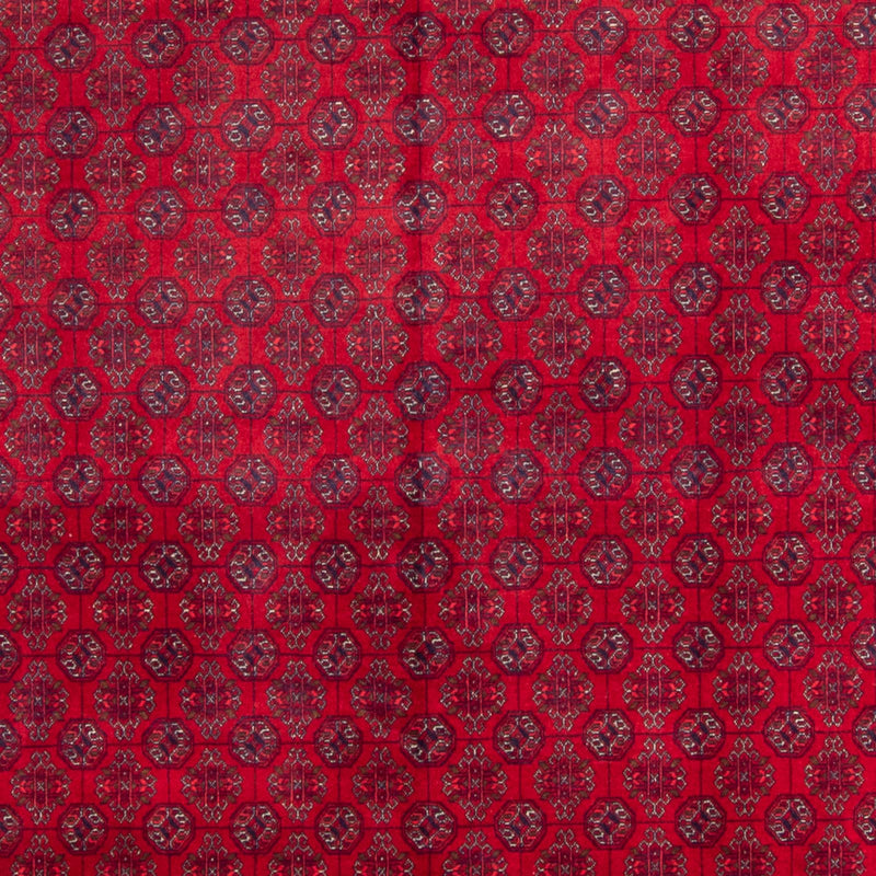 Bukhara Teppe 340x240cm - Orientalsk teppe
