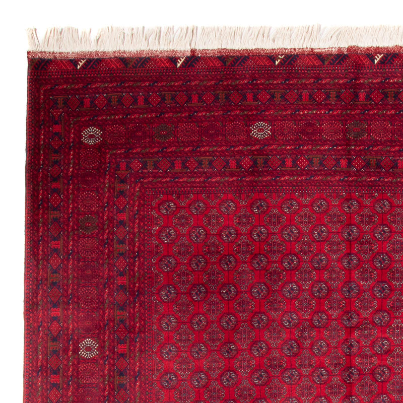 Bukhara Teppe 340x240cm - Orientalsk teppe