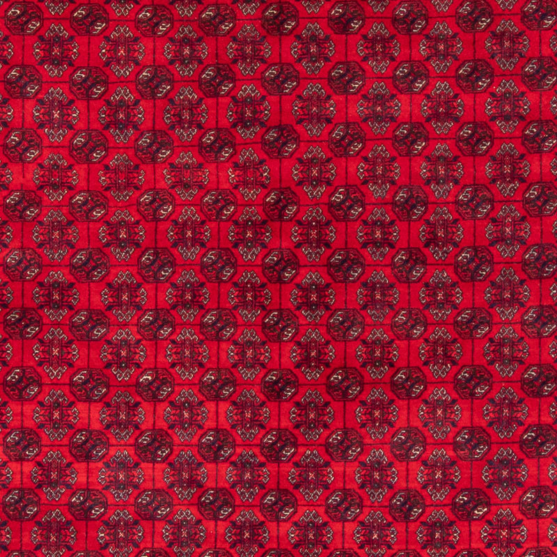Bukhara Teppe 290x196cm - Orientalsk teppe