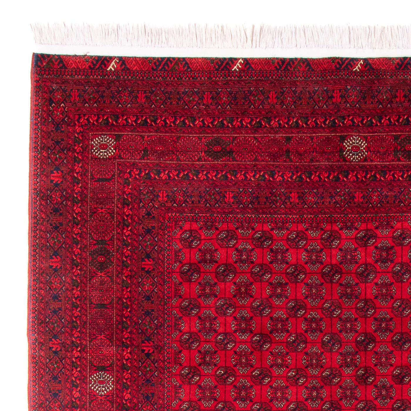Bukhara Teppe 290x196cm - Orientalsk teppe