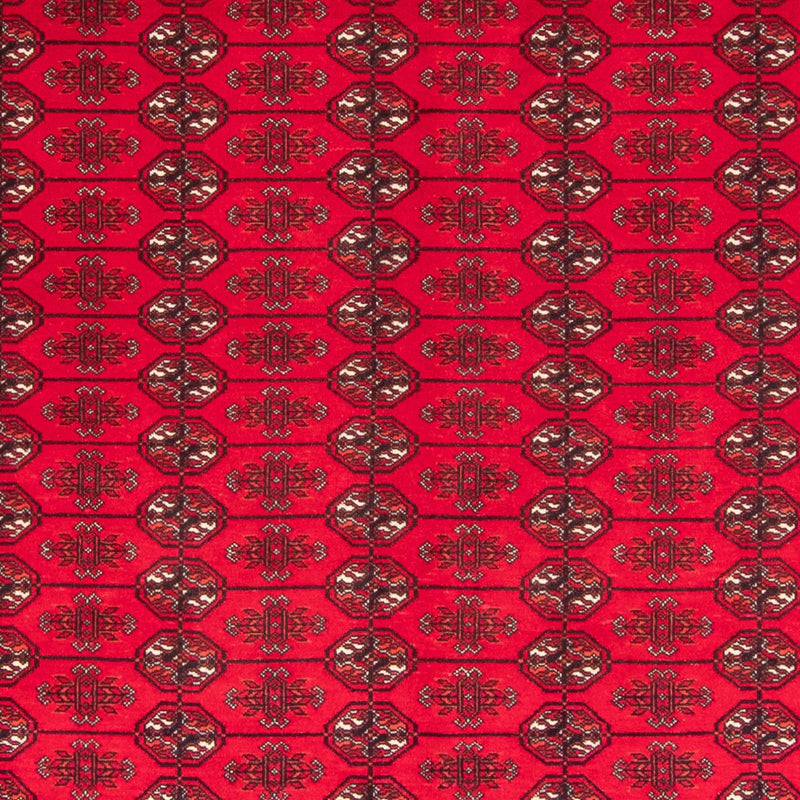 Bukhara Teppe 282x200cm - Orientalsk teppe