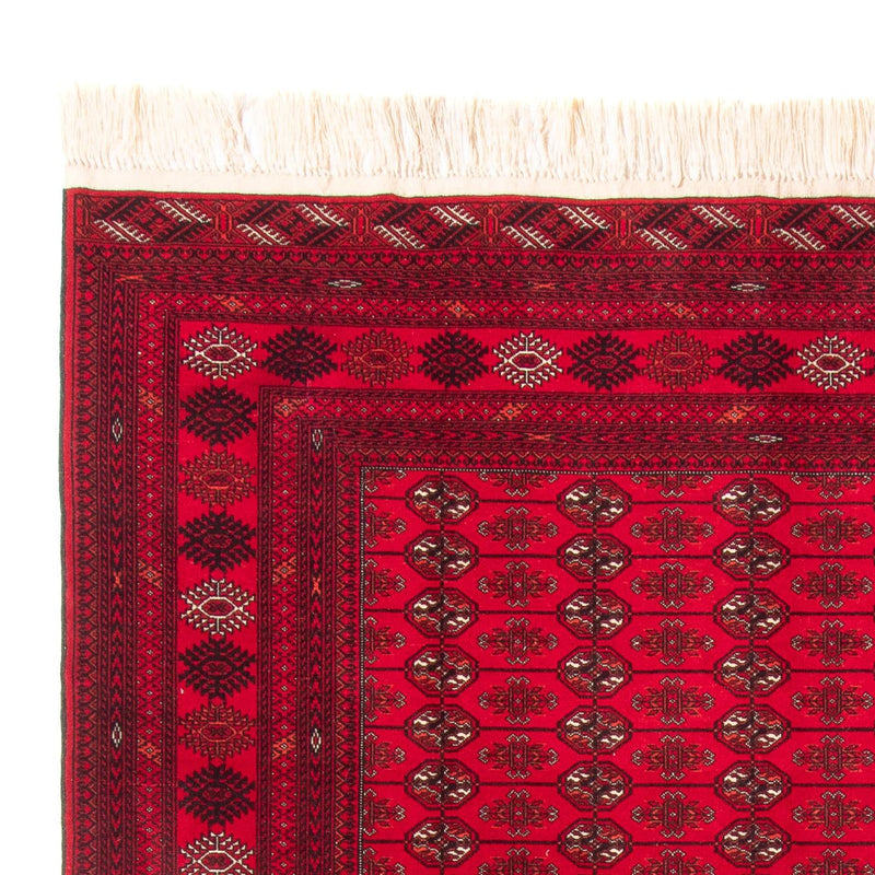 Bukhara Teppe 282x200cm - Orientalsk teppe