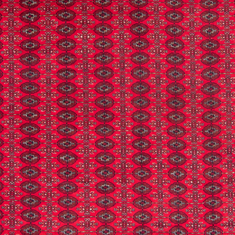 Bukhara Teppe 370x300cm - Orientalsk teppe