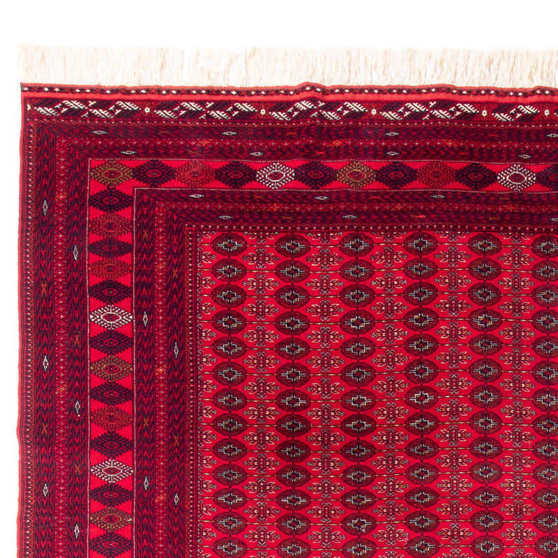 Bukhara Teppe 370x300cm - Orientalsk teppe