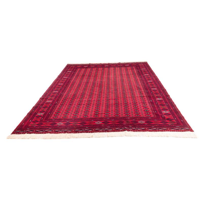 Bukhara Teppe 370x300cm - Orientalsk teppe