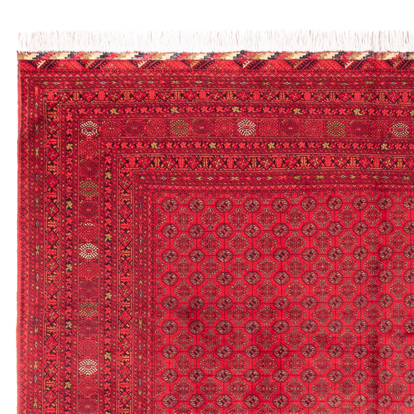 Bukhara Teppe 385x300cm - Orientalsk teppe