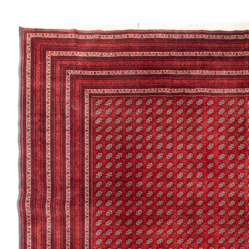 Bukhara Teppe 375x300cm - Orientalsk teppe