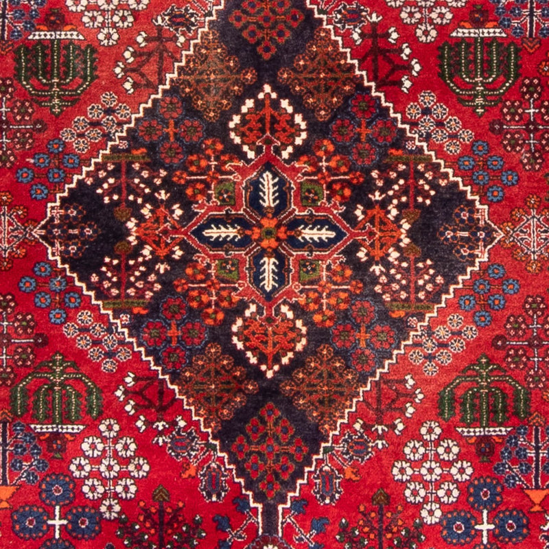 Shiraz Teppe 168x280cm - Persisk teppe