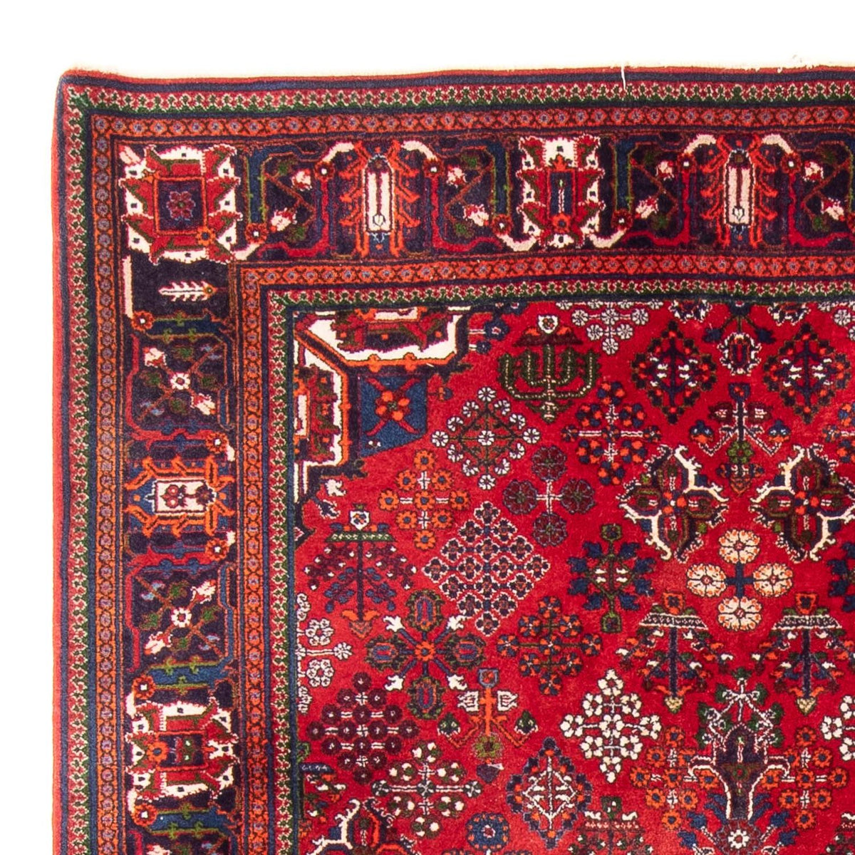Shiraz Teppe 168x280cm - Persisk teppe