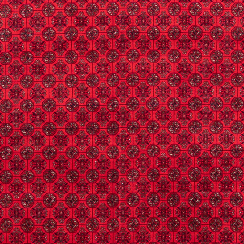 Afghansk teppe 295x194cm - Orientalsk teppe