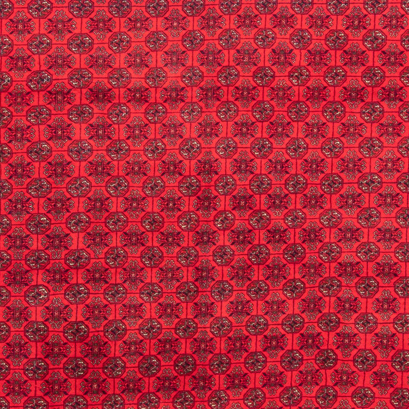 Afghansk teppe 289x200cm - Orientalsk teppe